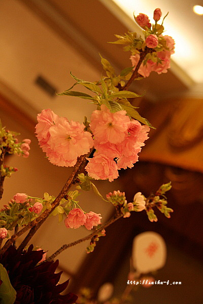 八重桜.jpg